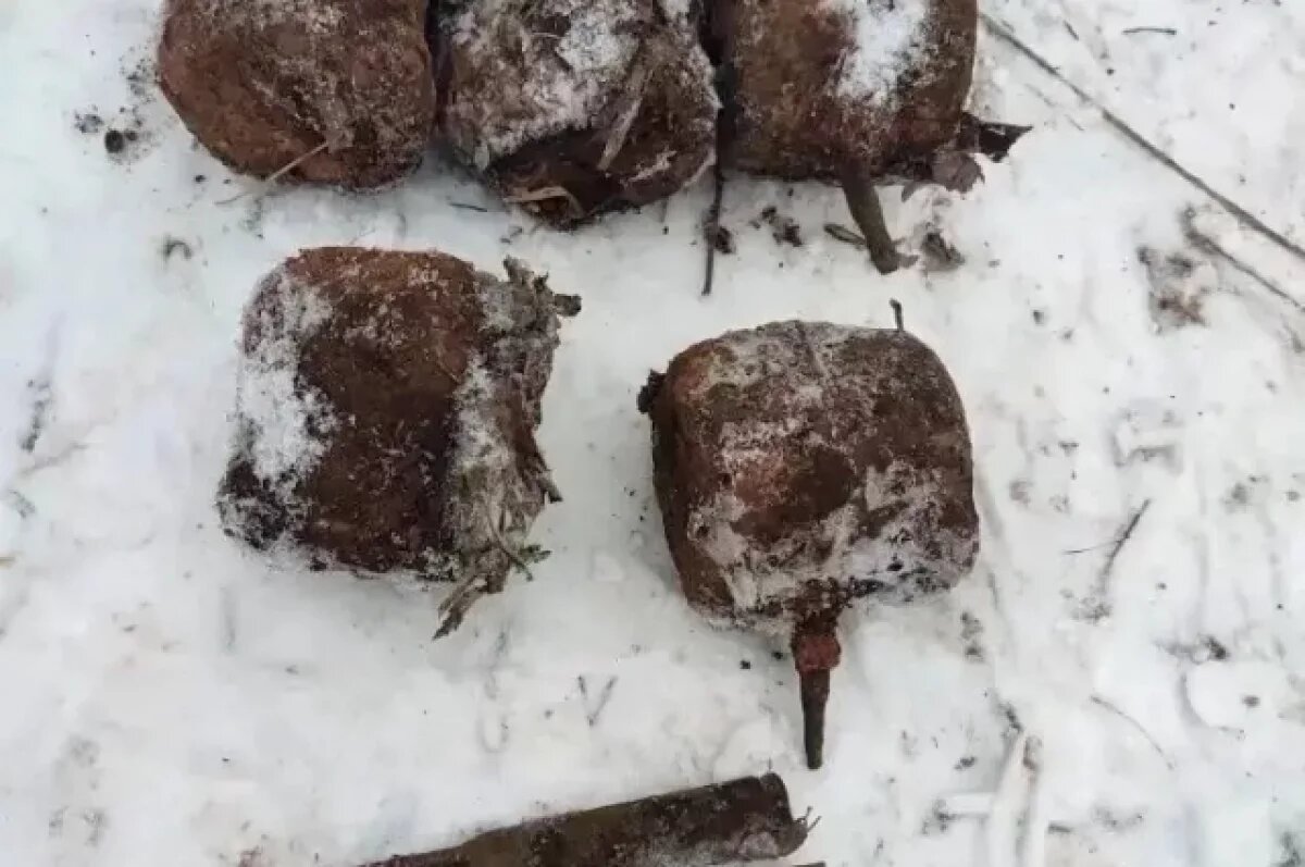    В Тверской области нашли и обезвредили кассетные авиабомбы и патроны