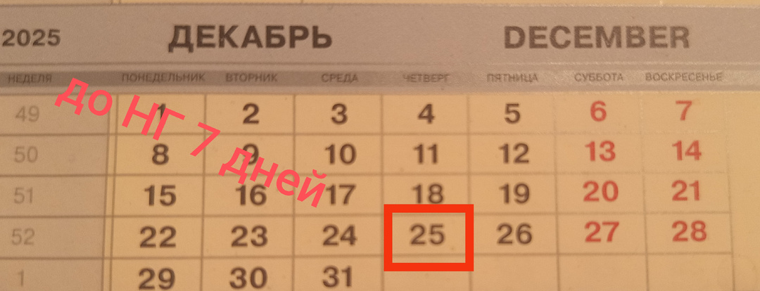Смена 25.12.25