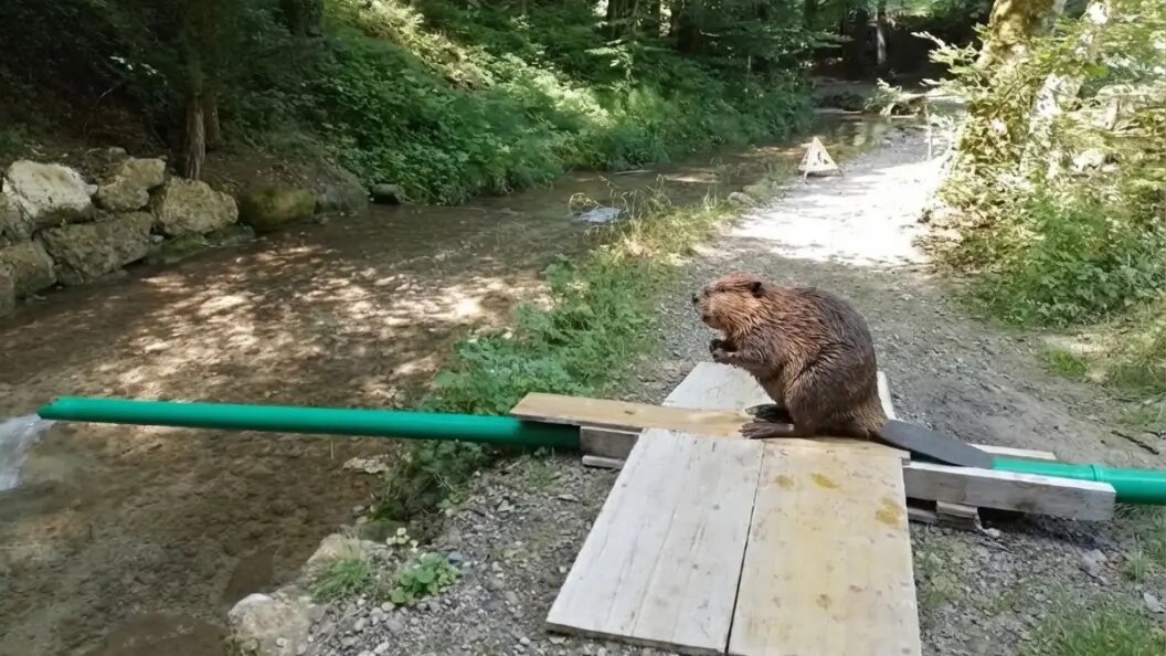    Фото Царьграда.