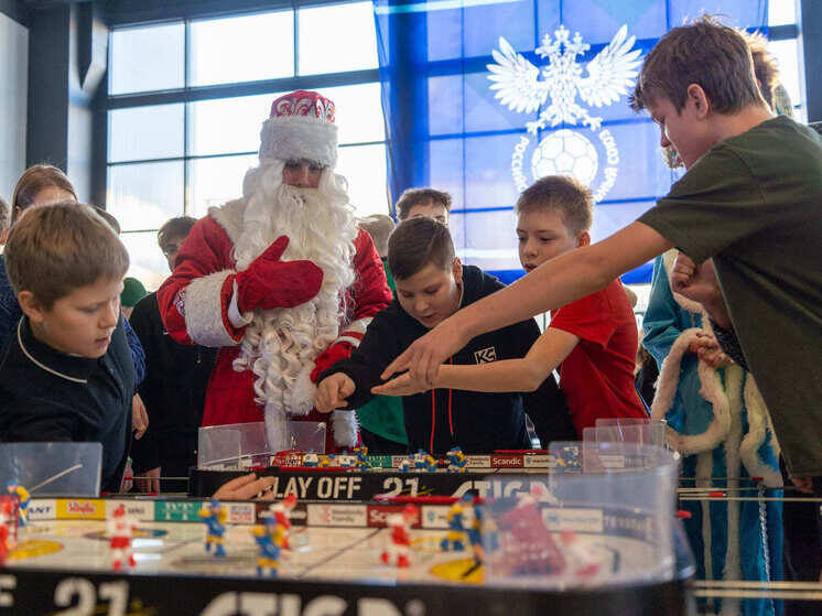     фото - Федерация хоккея Тульской области