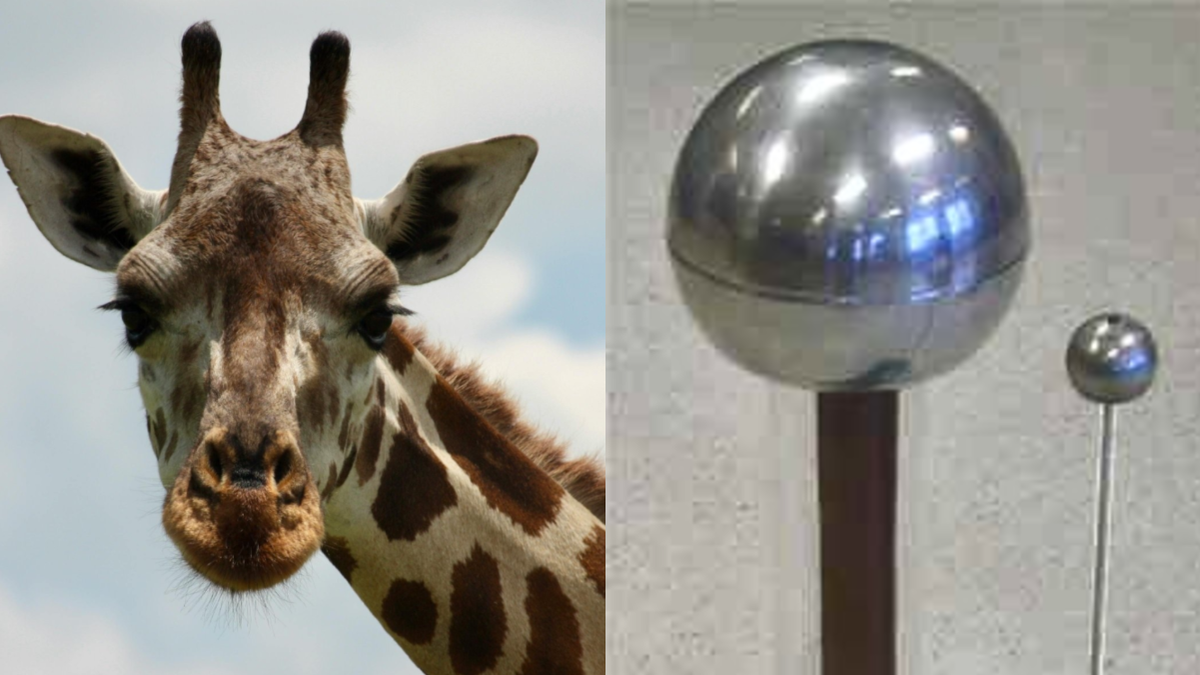 Сравните сами