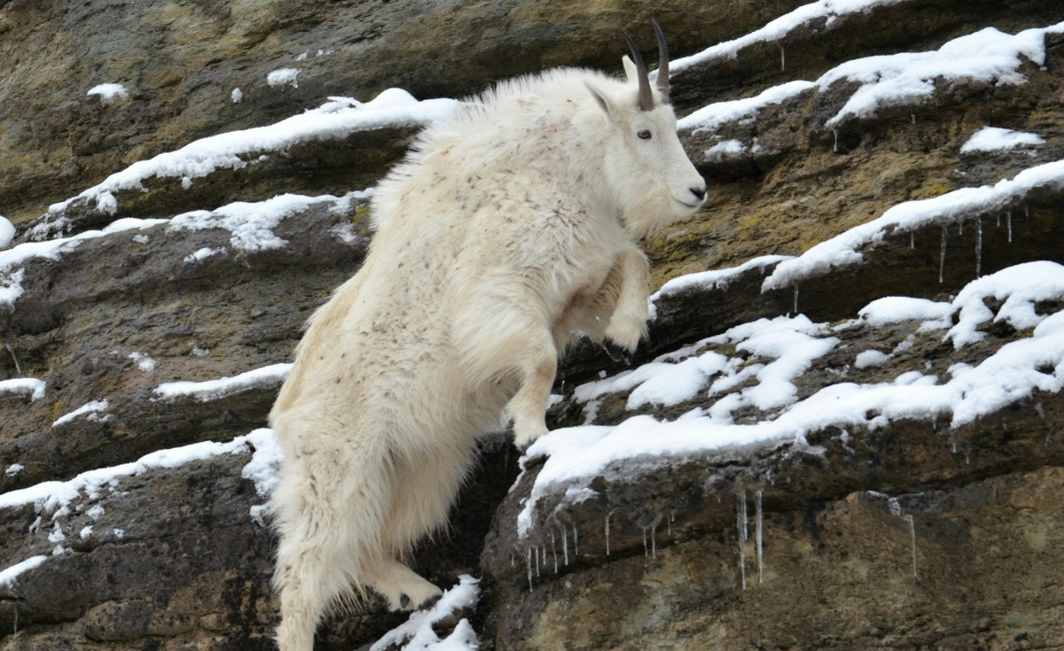 Пойду-ка я пониже