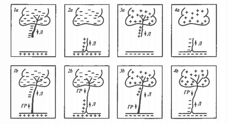 Варианты молнии