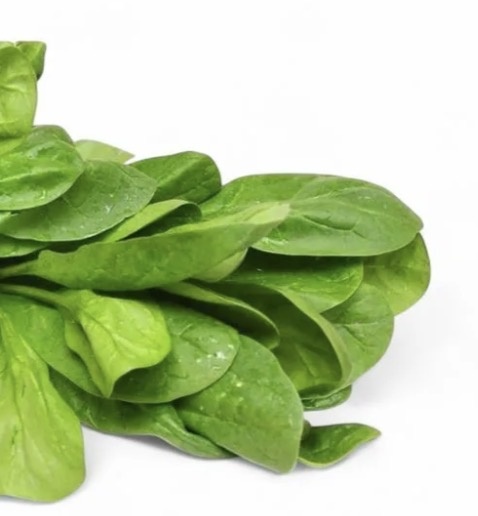 Яндекс фото. Шпинат