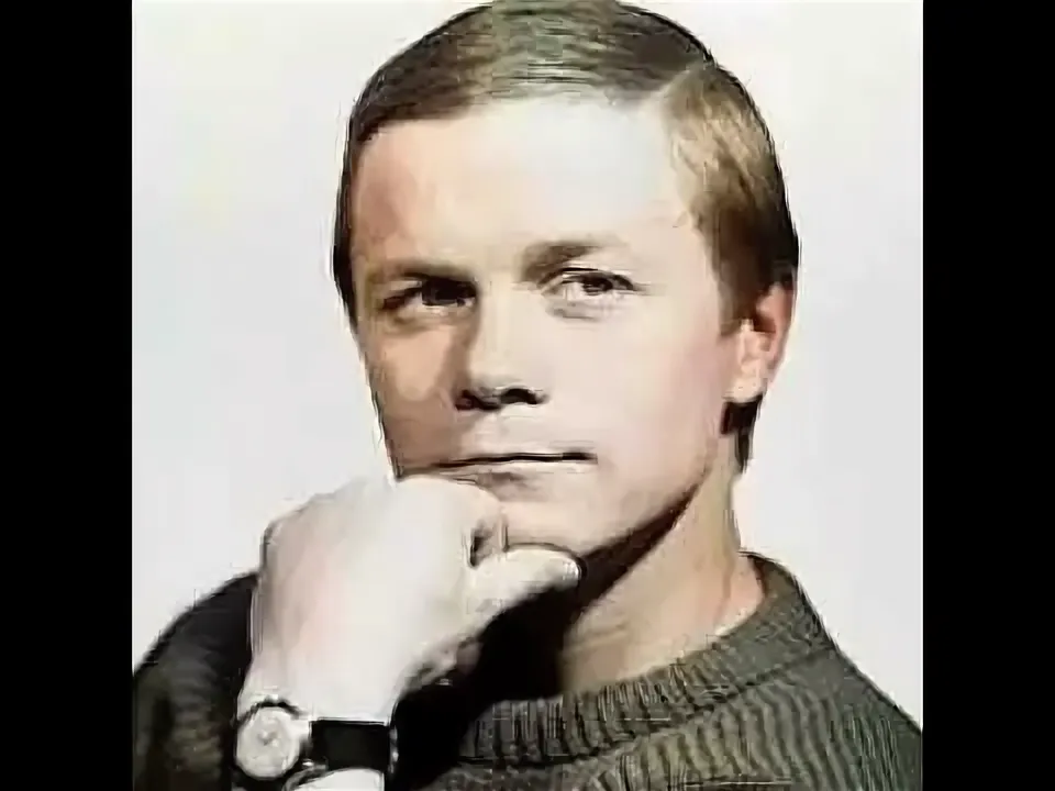 Владимир Шубарин