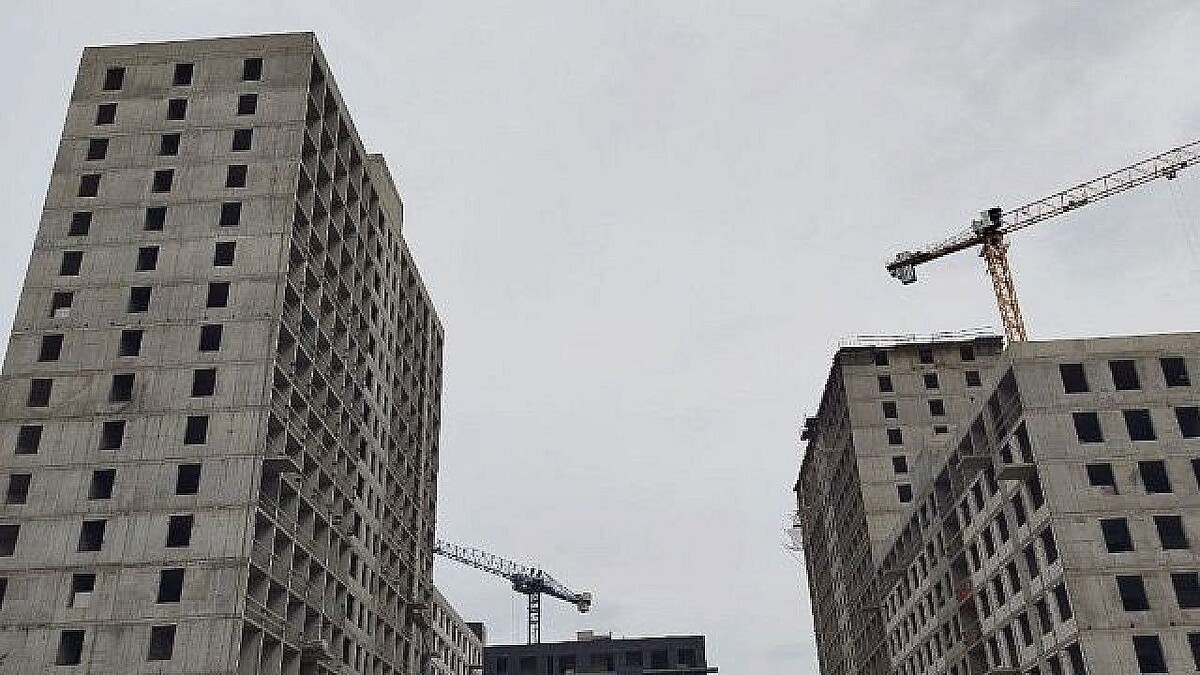    Фото: телеканал «Краснодар»