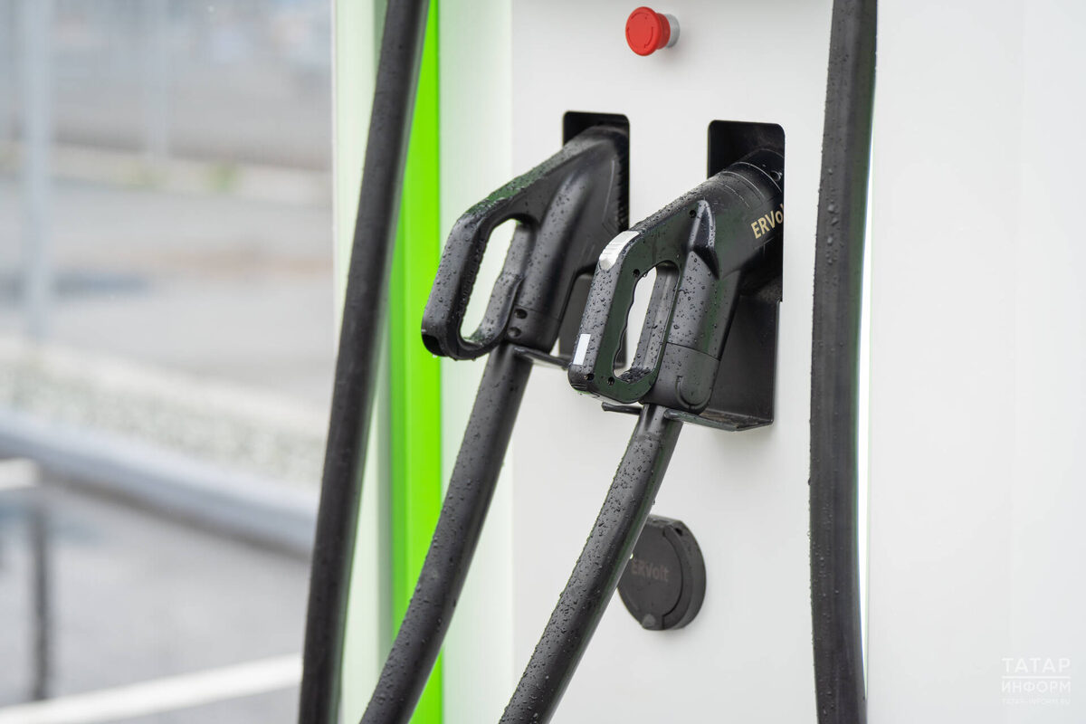 Фото: © Владимир Васильев / «Татар-информ»