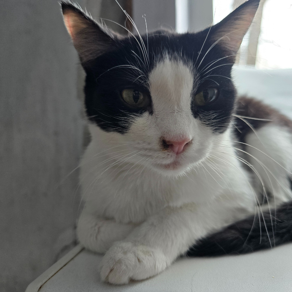 испуганные зелёные глаза смотрят в душу