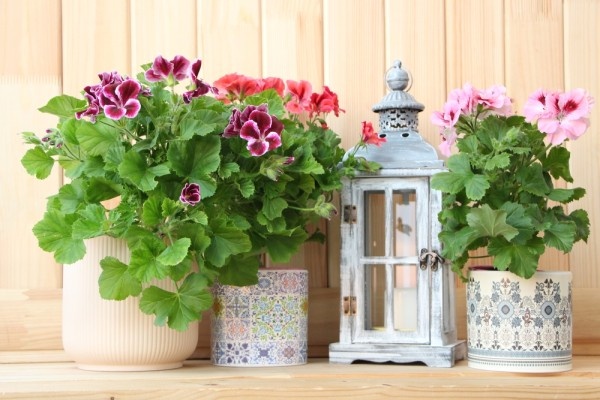 Источник фото shutterstock.com