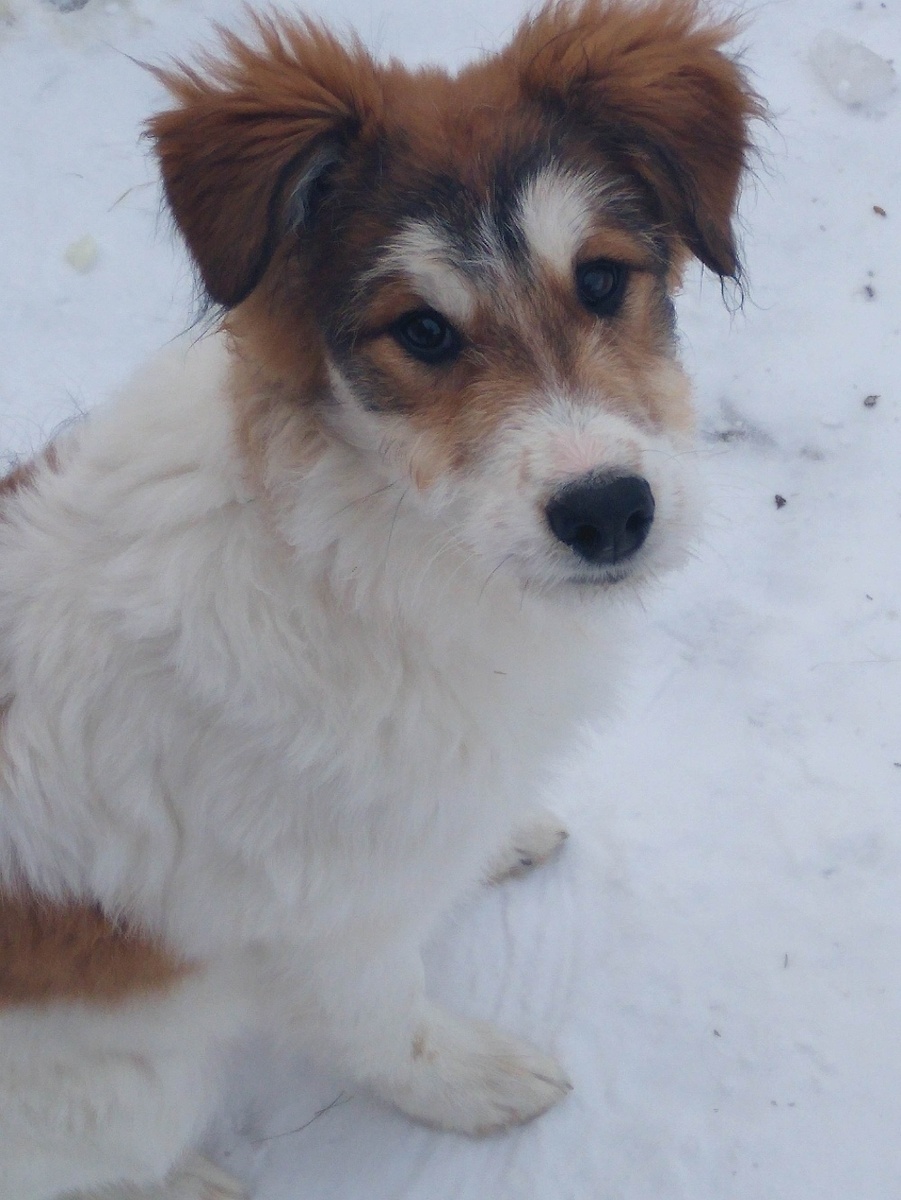 Дина 5 месяцев