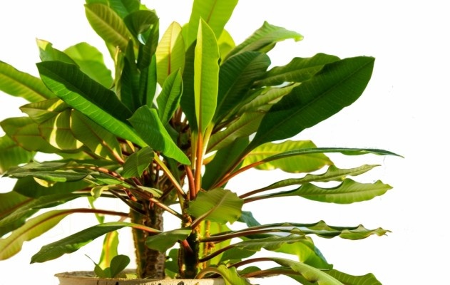 Источник фото shutterstock,com