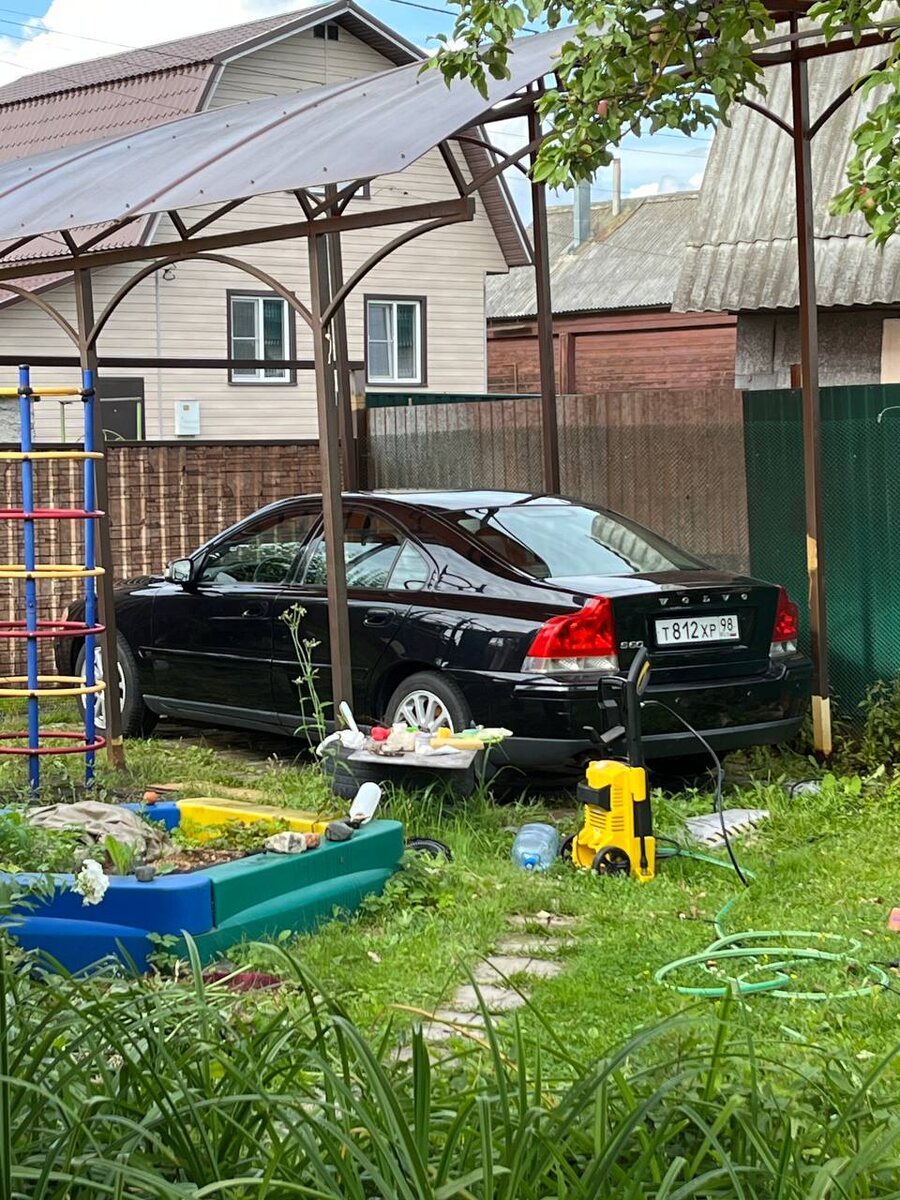 Отдых бестии