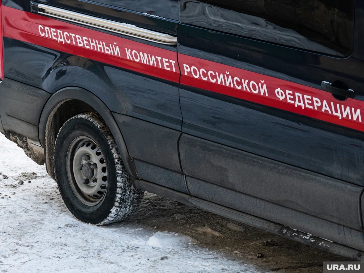     Силовики начали проверку