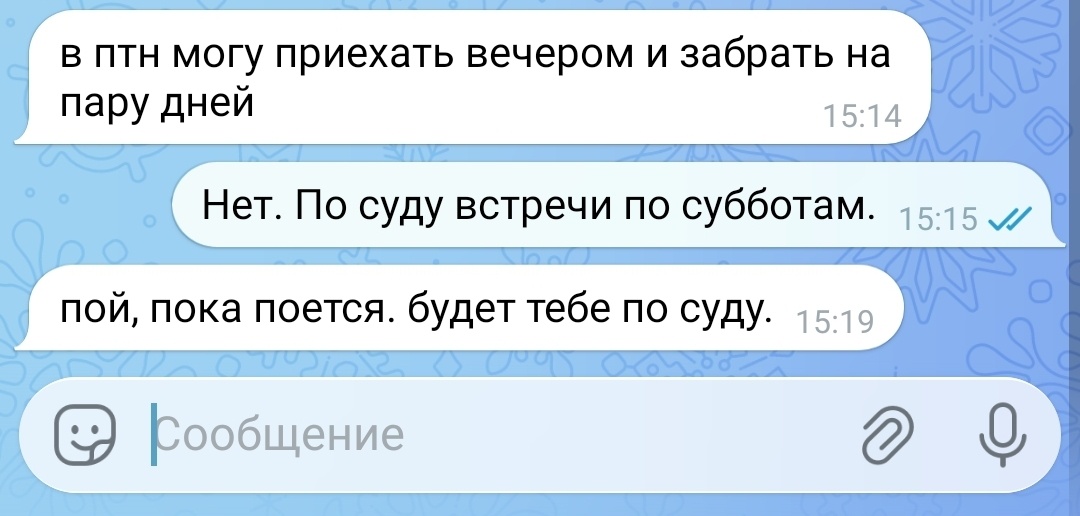 Скрин переписки