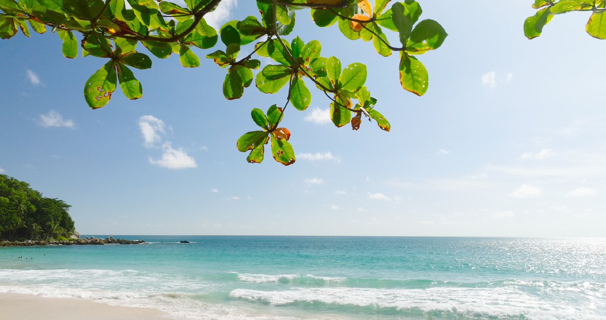 Вид на пляж и природу Пхукета в январе, Таиланд. Источник: Shutterstock