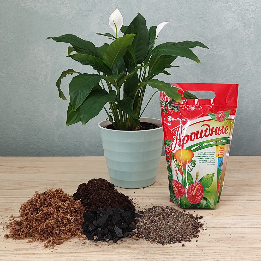 Субстрат для ароидных растений