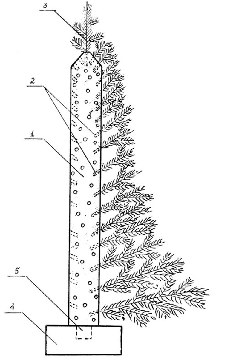    Фото: Роспатент