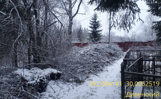    © Эконадзор Ленобласти