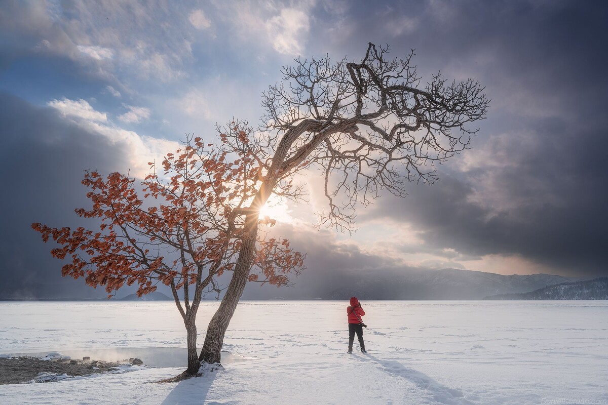 Картинка найдена на просторах интернета, ссылка https://yandex.ru/images/search?from=tabbar&img_url=https%3A%2Fi%2F.pinimg.com%2Foriginals%2Fa8%2F34%2Fа3f%2Fa8103р43f851с2879b5e7bd53274cf0591a19.jpg&lr=47&pos=15&rpt=simage&text=%D1%86%D0%B2%D0%B5%D1%82%D1%8B%20%D0%BA%D1%80%D1%83%D0%BF%D0%BD%D0%BE%20%D1%84%D0%BE%D1%82%D0%BE 