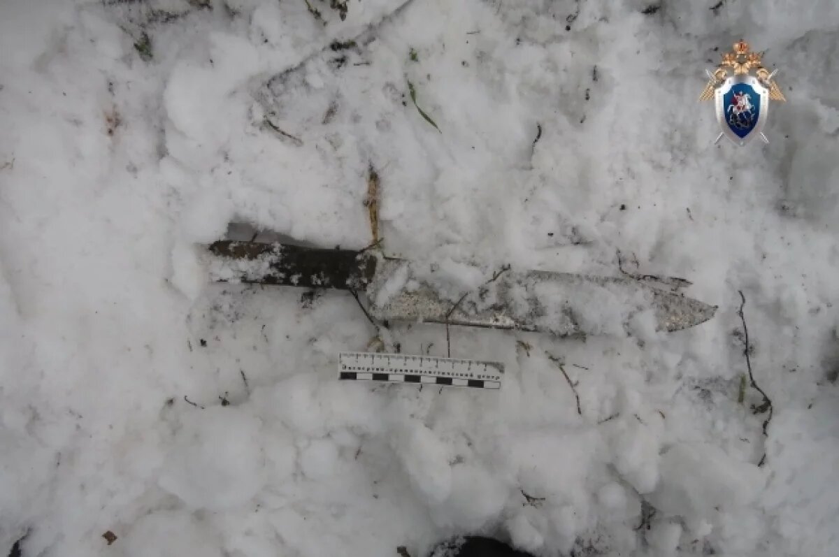    В Новоспасском районе рецидивист сбил мужчину с ног и зарезал