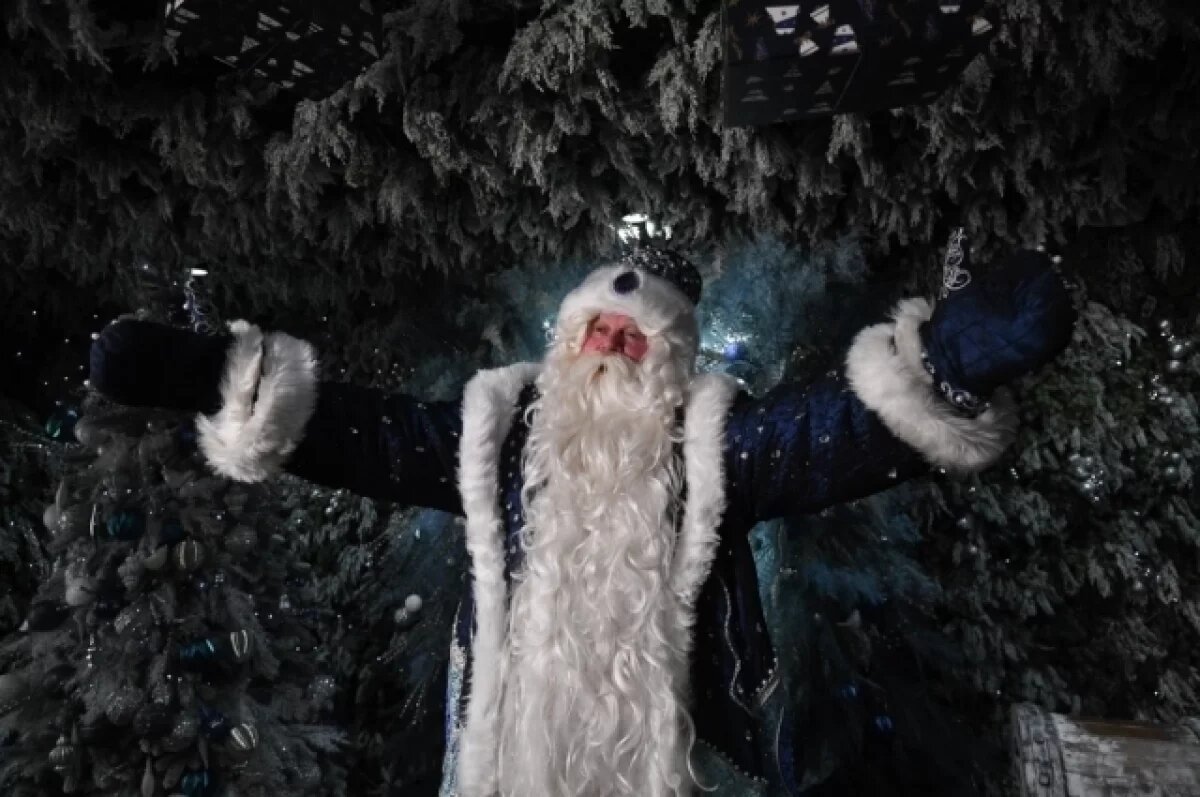    Дед Мороз посоветовал, какую елку выбрать на Новый год