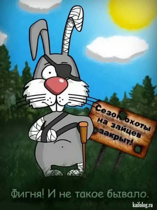 Картинки взяты из интернета