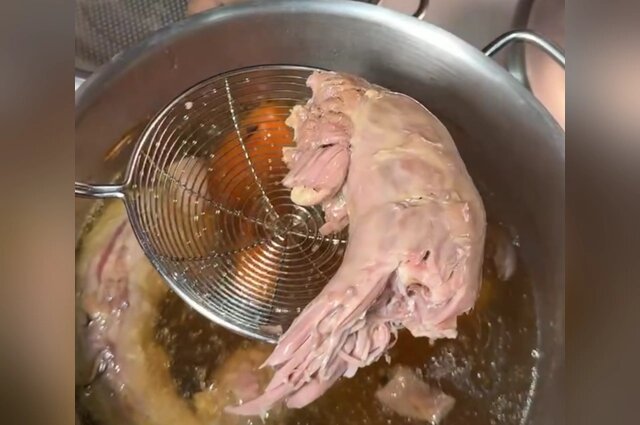    Фото: кадр из видео.