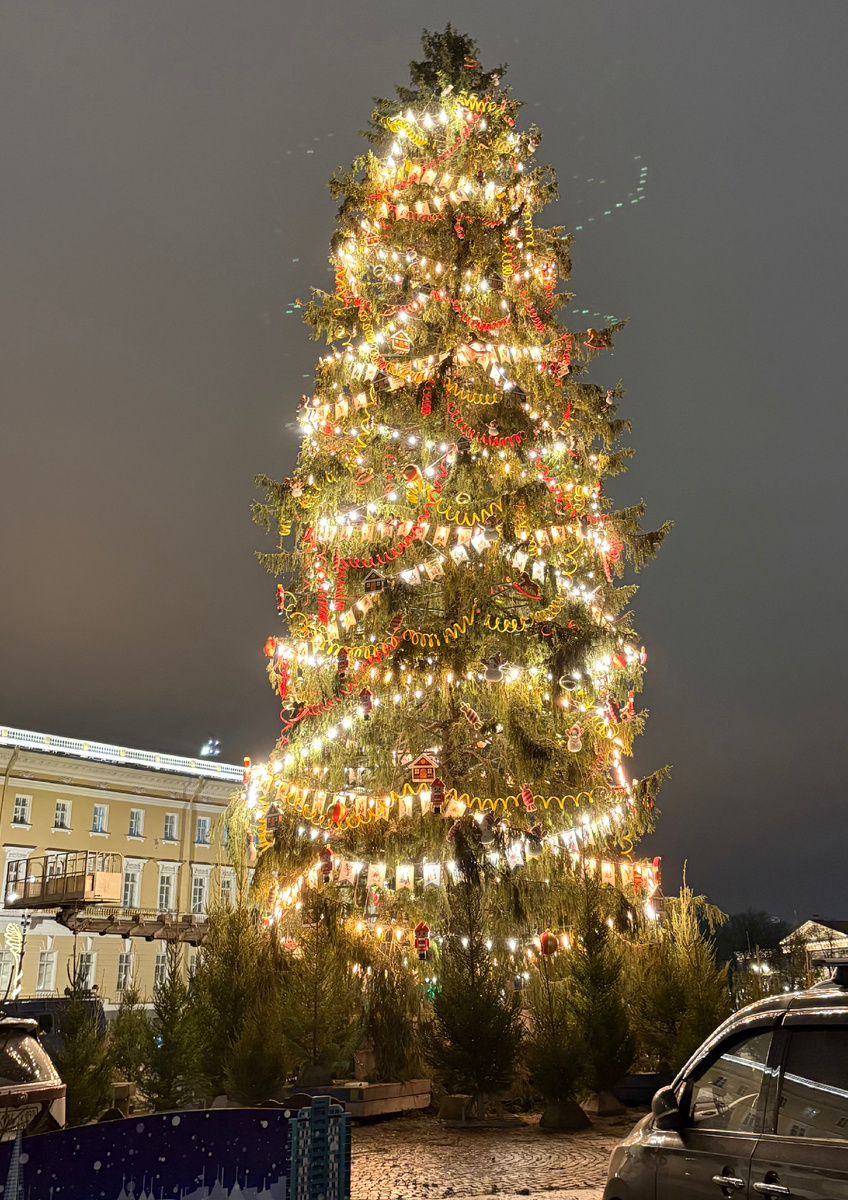Фото автора. Декабрь 2026 года.