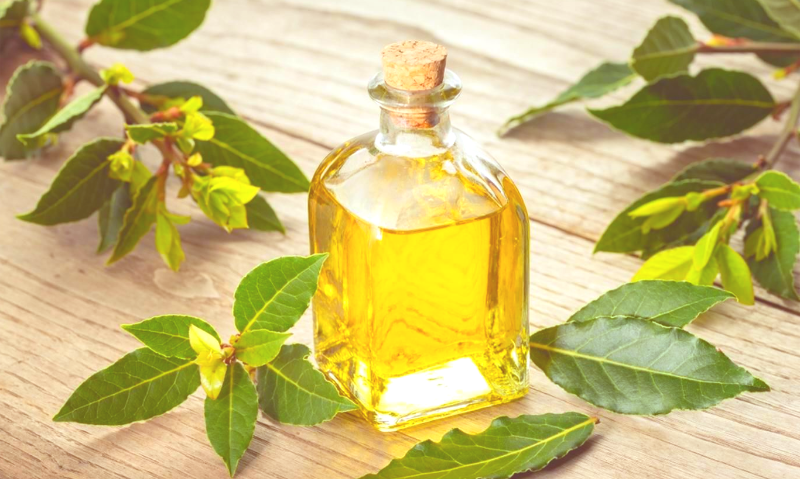 Подсолнечное масло с лавровым листом