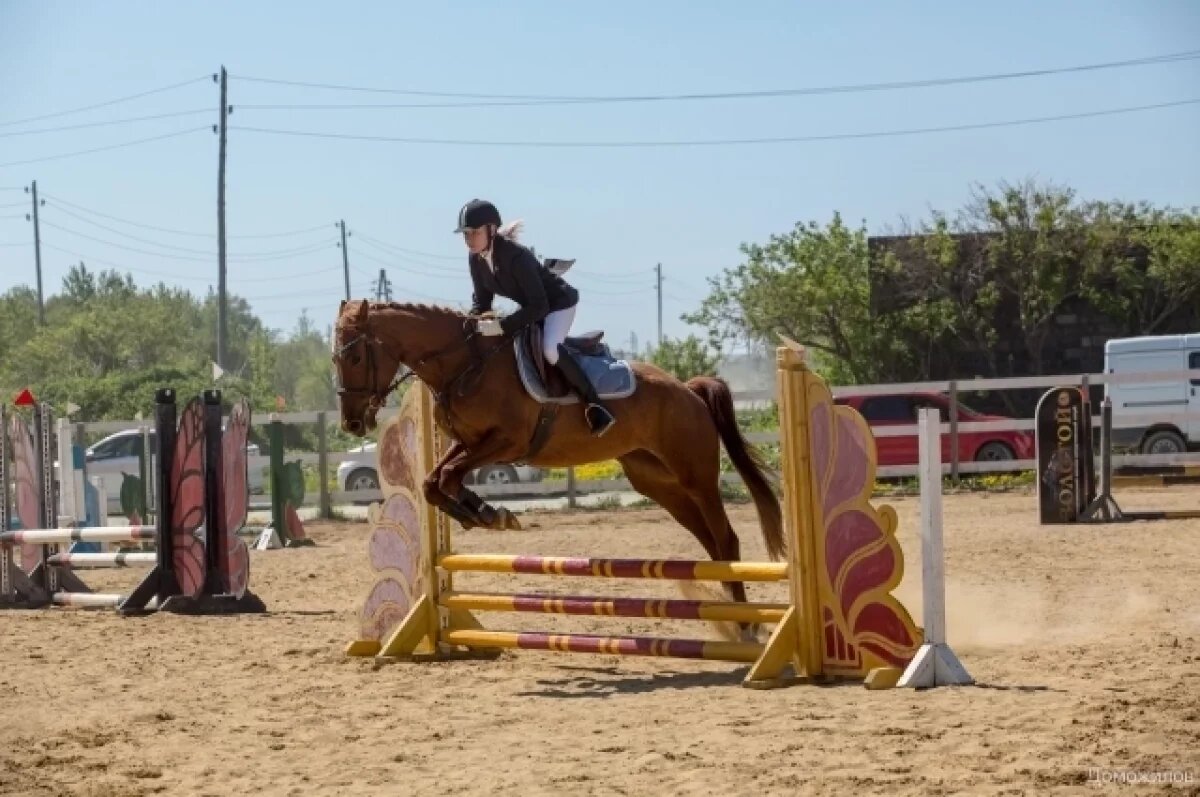    Федерация конного спорта предоставила нейтральный статус еще пяти россиянам