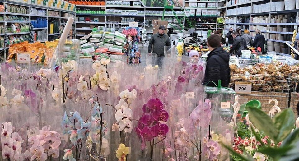    REGIONS/Татьяна Замятина