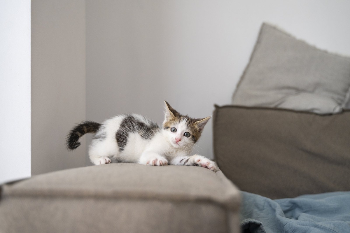    Понимание мотивов — первый шаг к решению любой поведенческой задачи