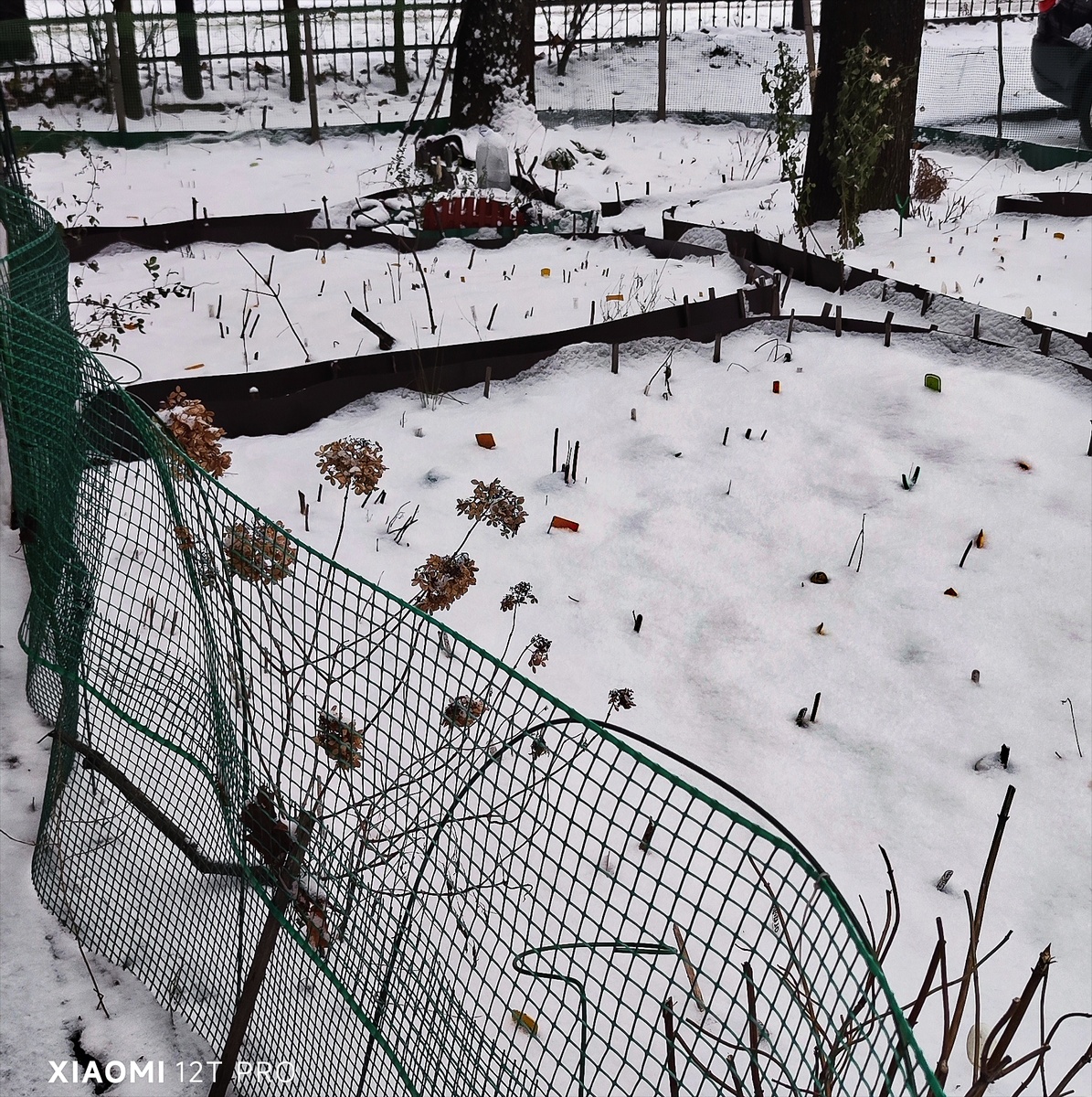 Снежок выпал несколько дней назад.