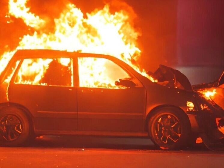     Фото: архив МЧС