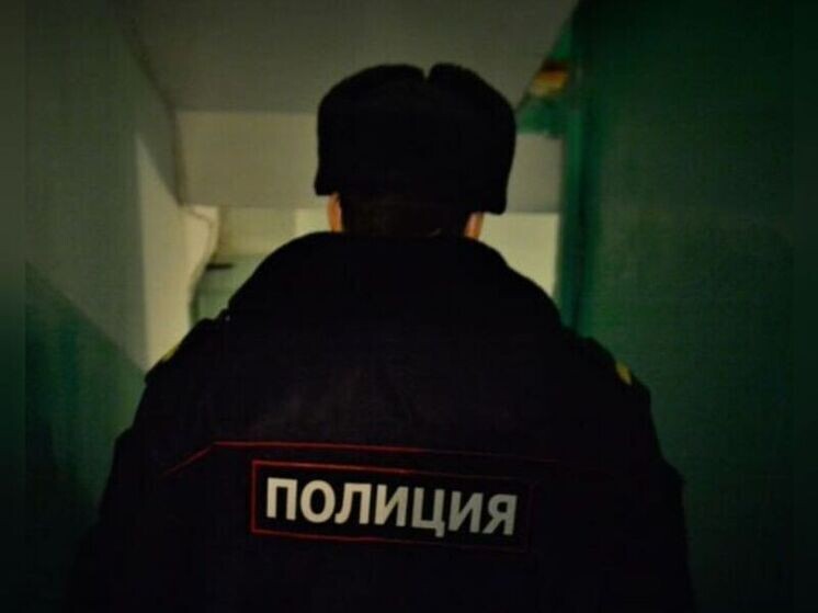     фото: https://58.мвд.рф/