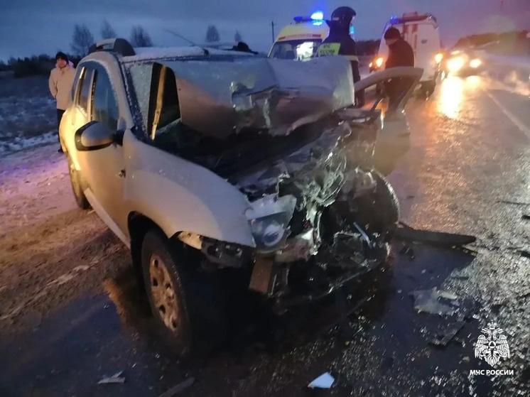     Фото: ГУ МЧС России по Тверской области