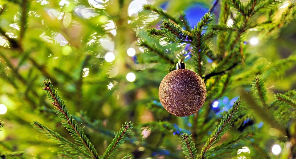    Медиасток.рф