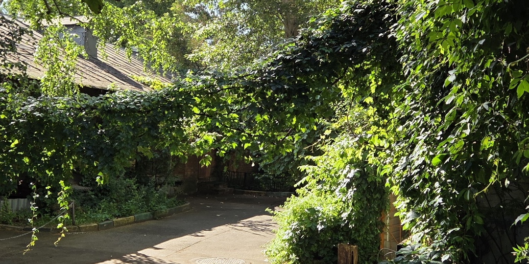 ФотоПутешествие на Хитровку | Часть № 7. Где ночевали «раки»?