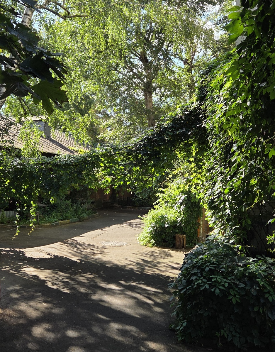 Во дворе дома 3/1с1 по Хитровскому переулку