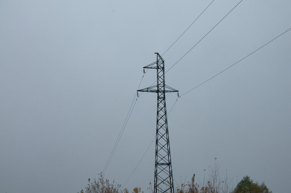    Фото: Svetlana Vozmilova/Global Look Press