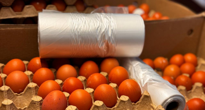    Первый городской канал Калининград