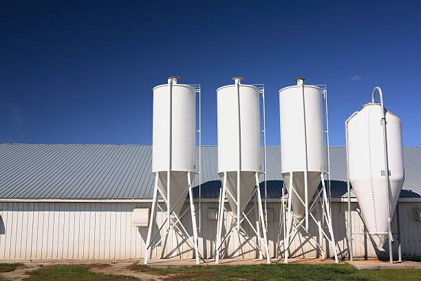 Высокие и узкие силосы