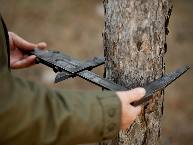 Фото: ru.freepik.com