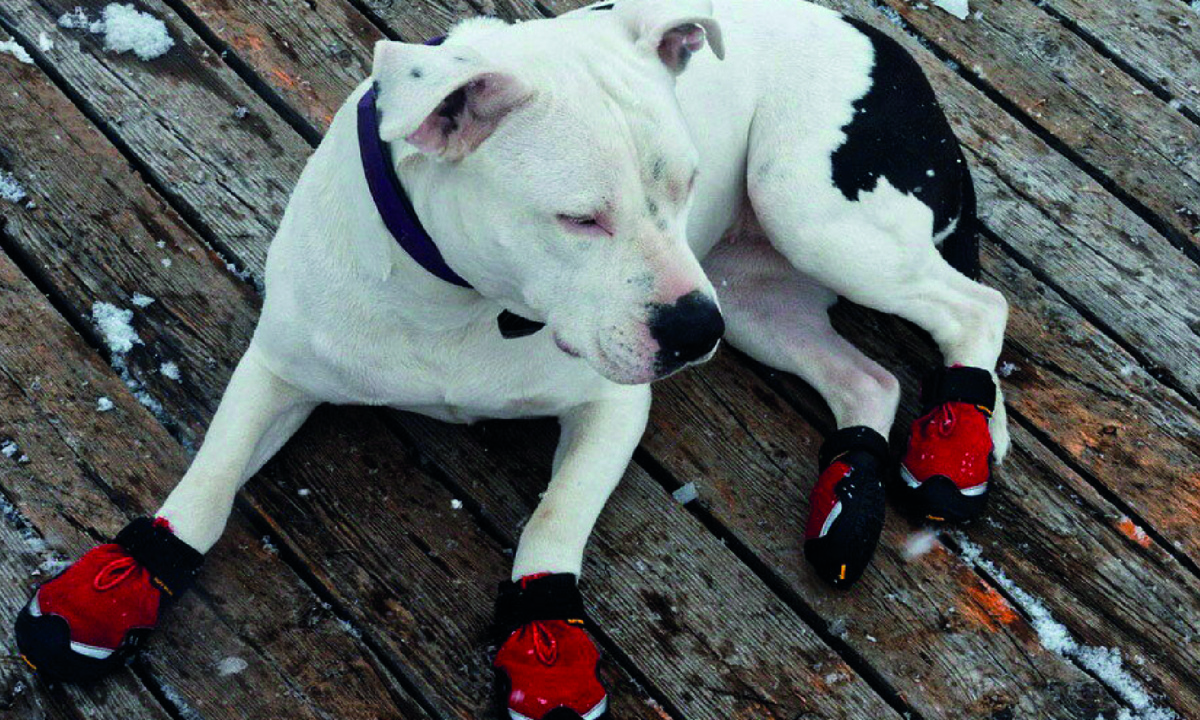 Фото: pixabay.com.