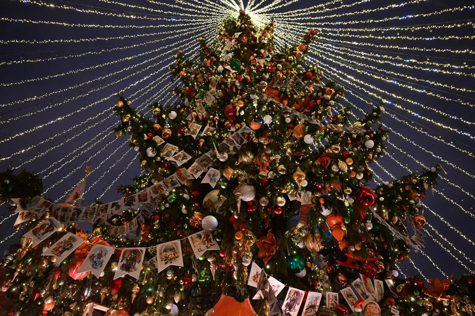    Ради эффектных фото житель Ставрополья разрешил детям залезть в елку Михаил ФРОЛОВ