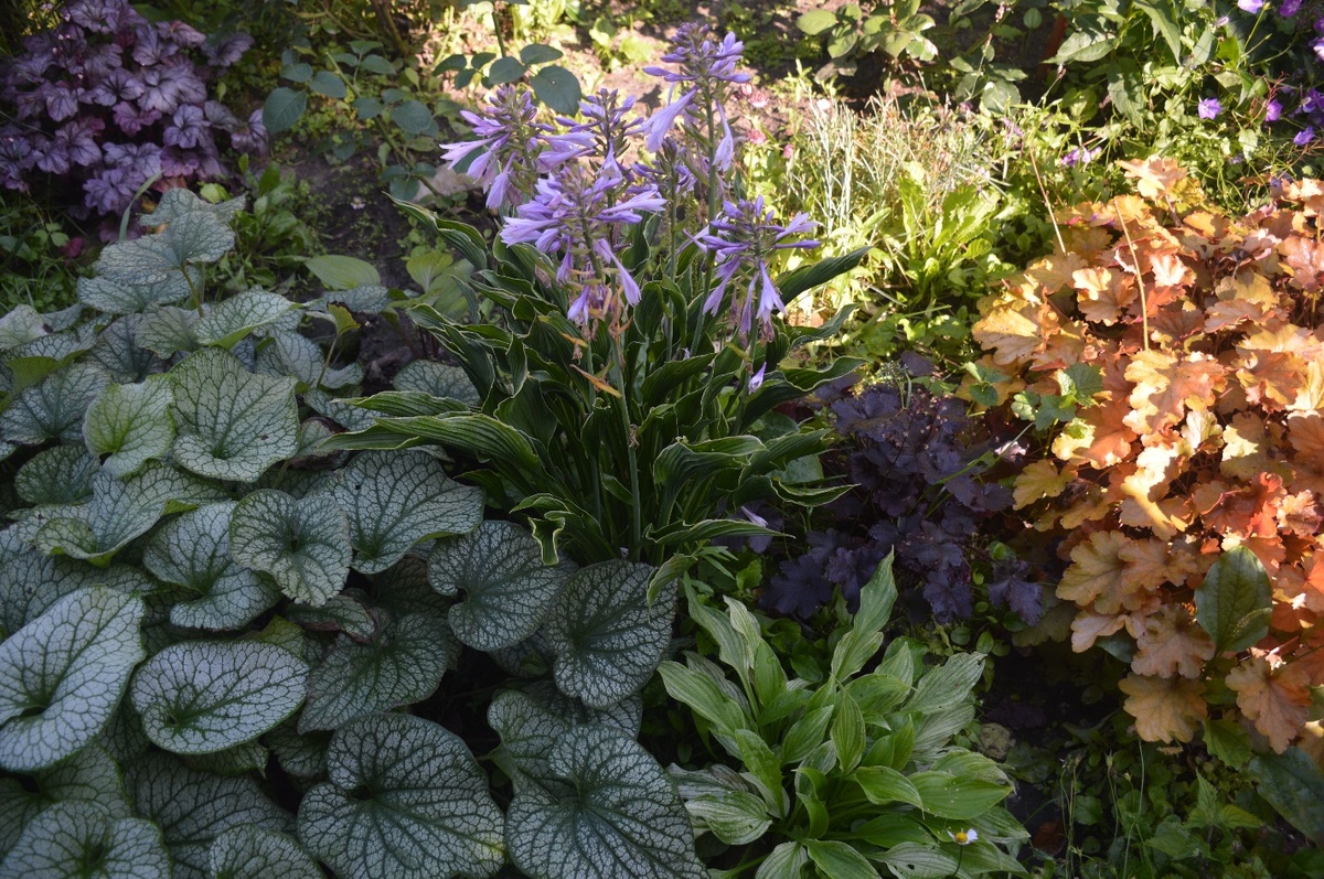 На месте кучи песка. Все фотографии в статье мои. 2025 год