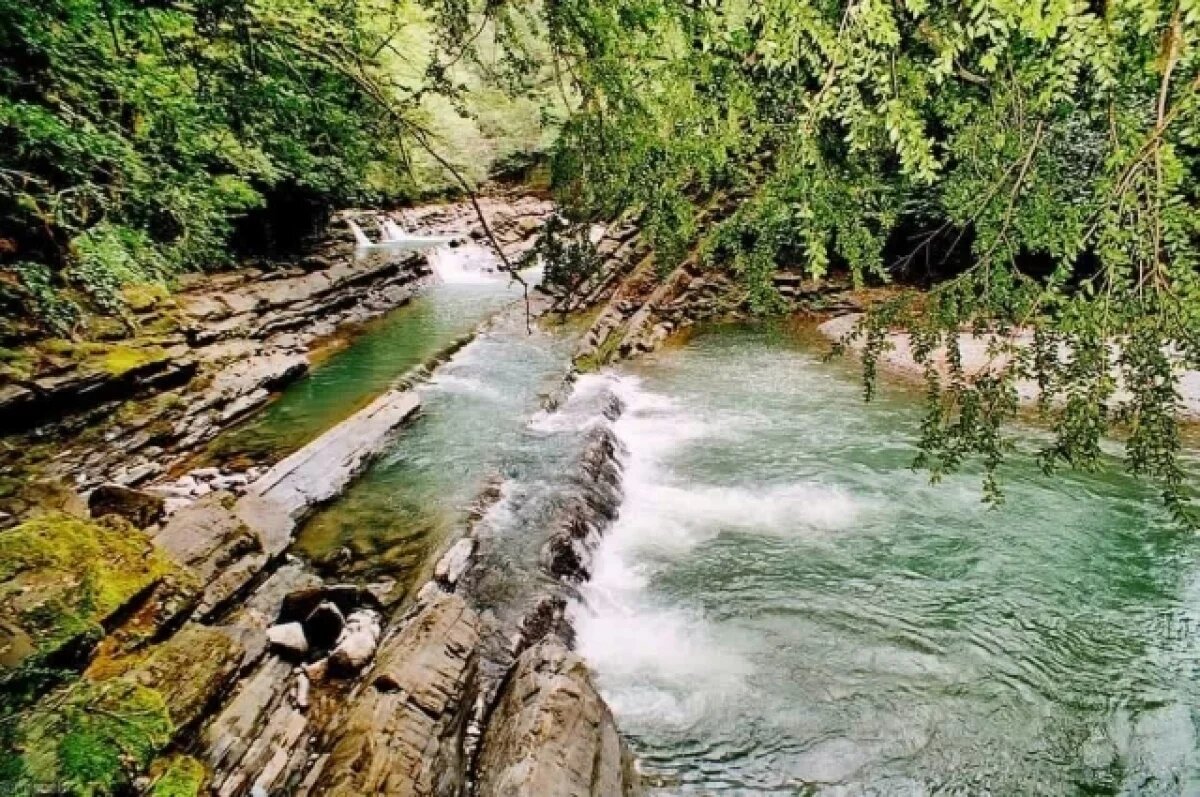    В национальном парке Сочи опровергли информацию о продаже нелегальных туров