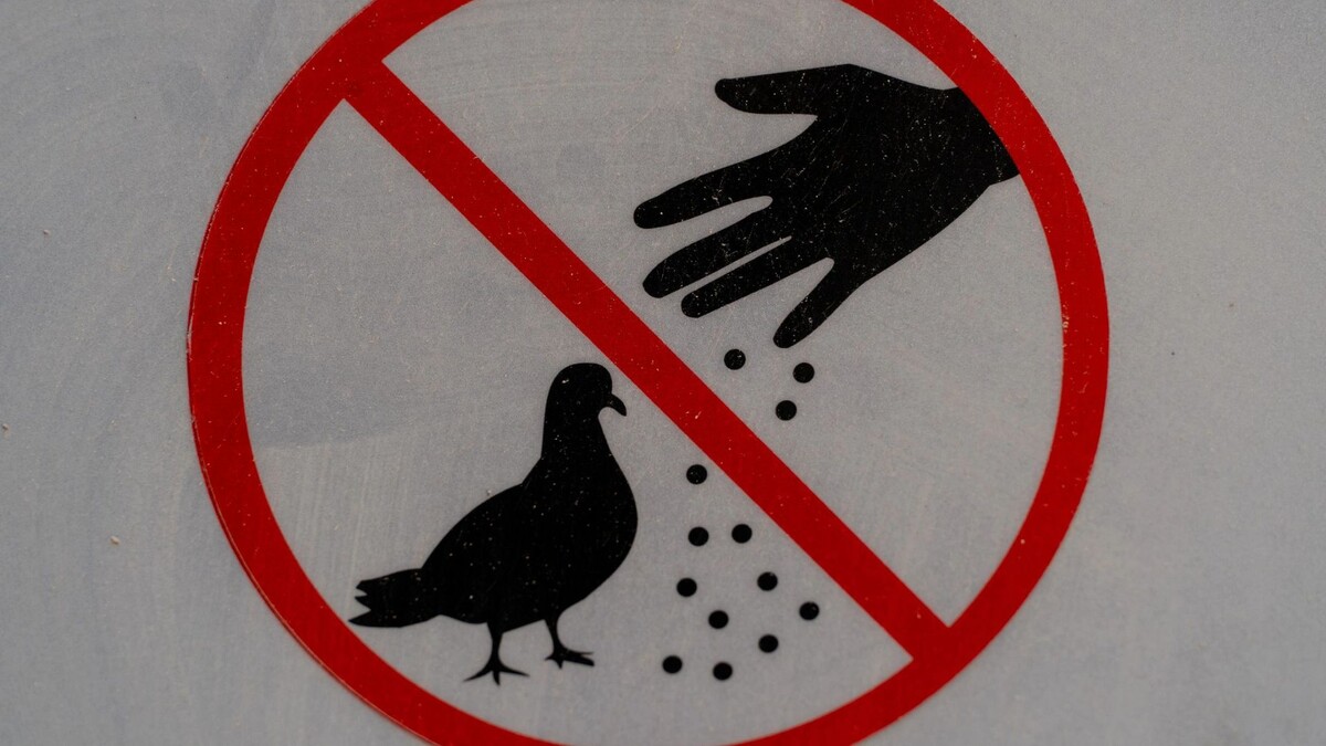    Фото: Liukov/Shutterstock/Fotodom