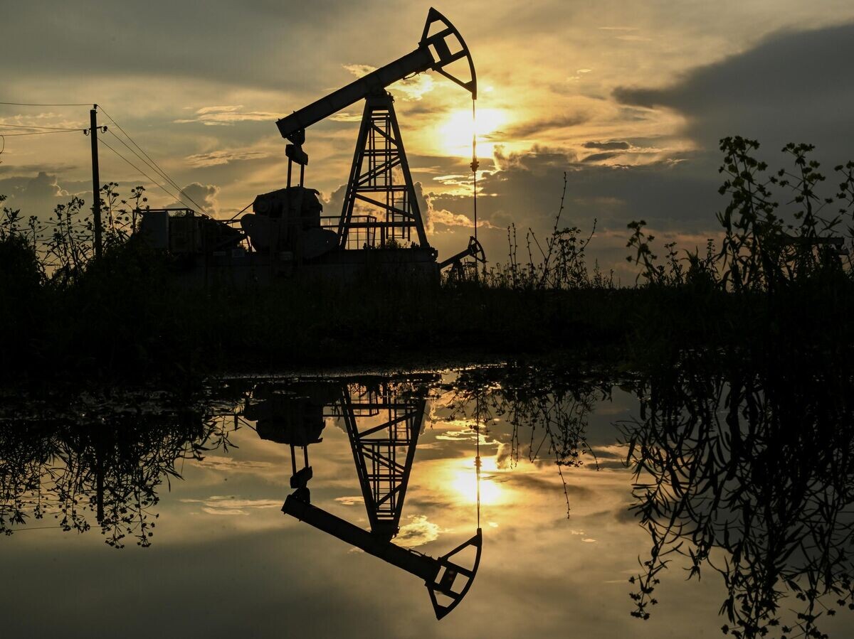    Нефтяная качалка | © РИА Новости / Максим Богодвид