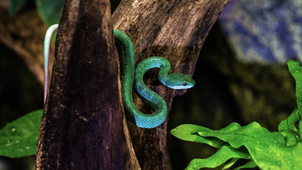    Фото: Shutterstock
